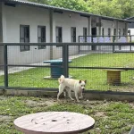 桃園市動保處首辦免費公益演唱會 前機長王丰獻聲毛孩