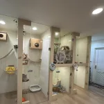 特定寵物業者提供友善的寵物寄宿空間（圖片來源：台北市動保處）