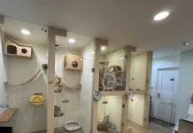 特定寵物業者提供友善的寵物寄宿空間（圖片來源：台北市動保處）