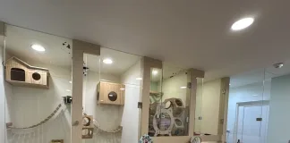 特定寵物業者提供友善的寵物寄宿空間（圖片來源：台北市動保處）