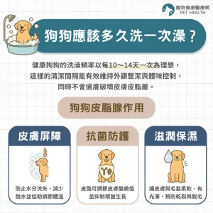 狗狗應該多久洗一次澡？