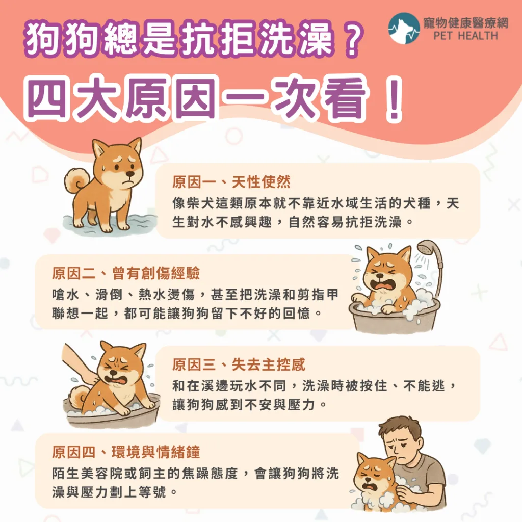 狗狗抗拒洗澡四大原因