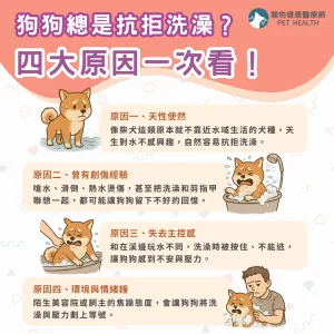 狗狗抗拒洗澡四大原因