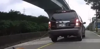 狗狗遭車輛拖行（圖片來源：新北市政府動保處）