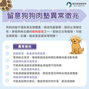 留意狗狗肉墊異常徵兆