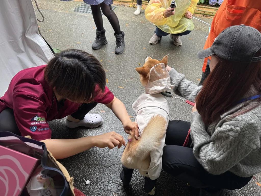 當日活動免費提供100劑狂犬病疫苗注射（圖片來源：台北市動保處）