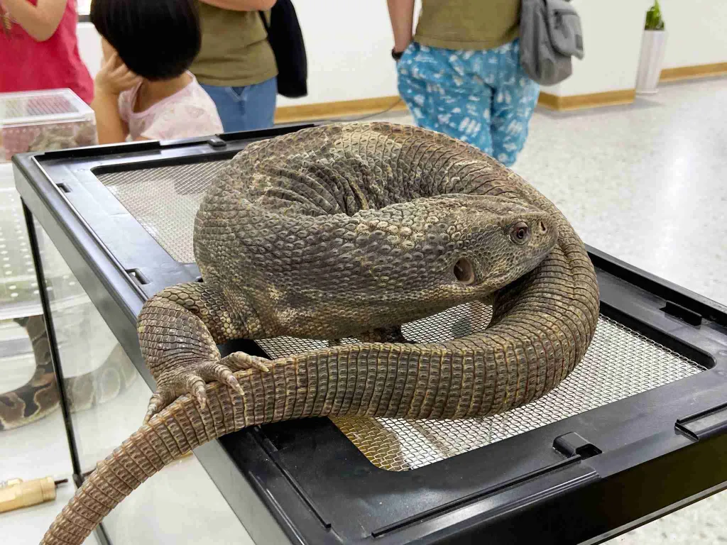 花蓮首屆動物保護體驗營
