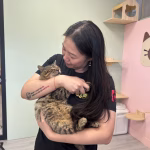 新北首創餐廳結合動物認養！打造愛心據點，讓流浪毛寶貝找到幸福歸屬