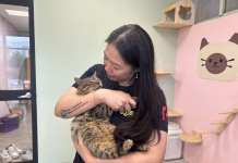 新北首創餐廳結合動物認養！打造愛心據點，讓流浪毛寶貝找到幸福歸屬