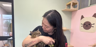 新北首創餐廳結合動物認養！打造愛心據點，讓流浪毛寶貝找到幸福歸屬