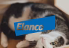 Elanco 2025 Q2 營收連八季增長！新品放量推升成長動能，但獲利與競爭壓力仍待突破