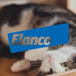 Elanco 2025 Q2 營收連八季增長！新品放量推升成長動能，但獲利與競爭壓力仍待突破