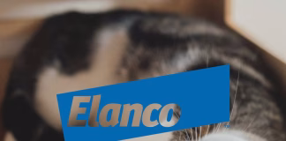 Elanco 2025 Q2 營收連八季增長！新品放量推升成長動能，但獲利與競爭壓力仍待突破