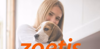 Zoetis財報解析：穩健成長與策略轉型並行，伴隨潛在風險浮現