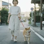 多久應該遛狗一次？遛狗頻率怎麼抓？有哪些注意事項？教你規劃適合狗狗的日常運動計畫