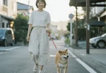 多久應該遛狗一次？遛狗頻率怎麼抓？有哪些注意事項？教你規劃適合狗狗的日常運動計畫