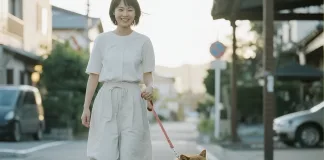 多久應該遛狗一次？遛狗頻率怎麼抓？有哪些注意事項？教你規劃適合狗狗的日常運動計畫