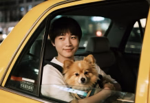 全台6大寵物友善計程車完整比較！寵物友善計程車懶人包，平台規範、收費一次看！