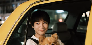 全台6大寵物友善計程車完整比較！寵物友善計程車懶人包，平台規範、收費一次看！