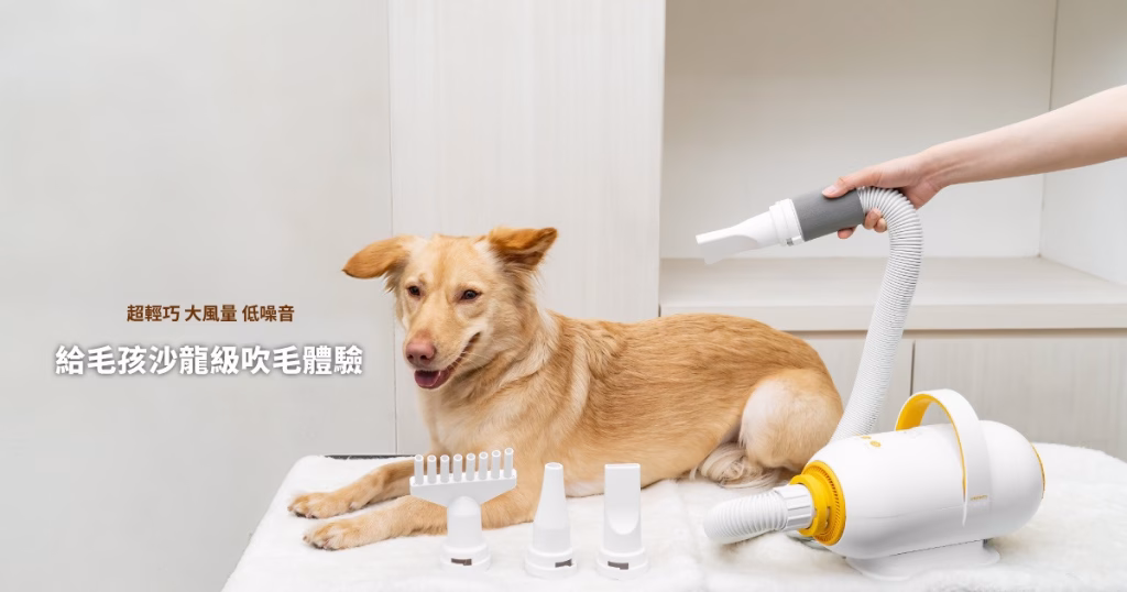 寵物吹水機快乾低噪音設計，深受毛孩與主人喜愛。