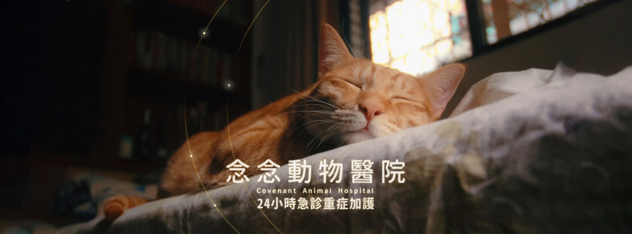 念念動物醫院 念念動物醫院