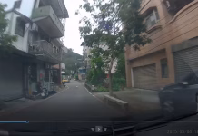 狗狗誤闖車道遭輾斃，飼主與駕駛各罰1.5萬元！新北動保處呼籲：飼主應善盡責任、駕駛提高防衛意識