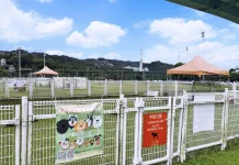 萬興狗活動區增設中犬區（圖片來源：台北市動物保護處）
