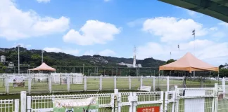 萬興狗活動區增設中犬區（圖片來源：台北市動物保護處）