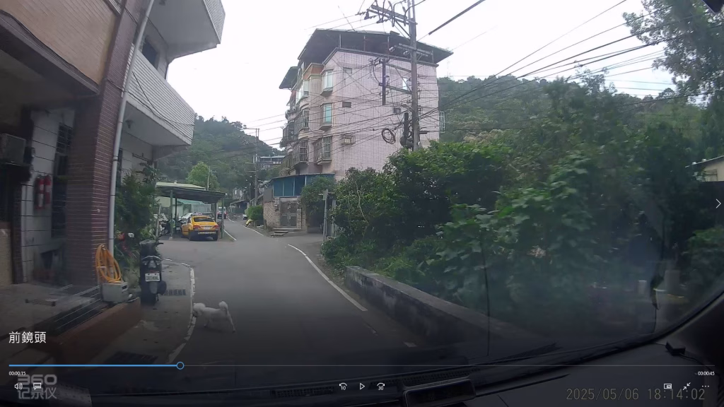 駕駛人看見犬隻，有減速行駛，但未停下車輛（圖片來源：新北市政府動物保護防疫處）