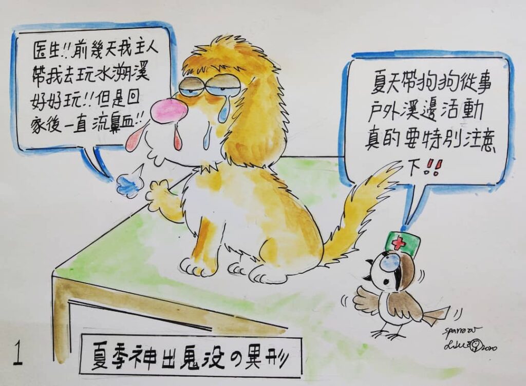 麻雀醫師提醒飼主帶寵物戲水要留意水蛭感染（圖片來源：麻雀醫師の日常）