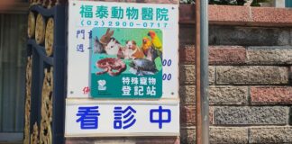 新北首創非犬貓類寵物登記制度，腳環守護寵物安全、登記享多項好康