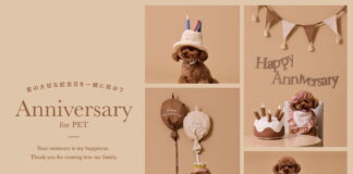 日本3COINS寵物新品強勢登場！日系高質感設計滿足飼主日常照護需求