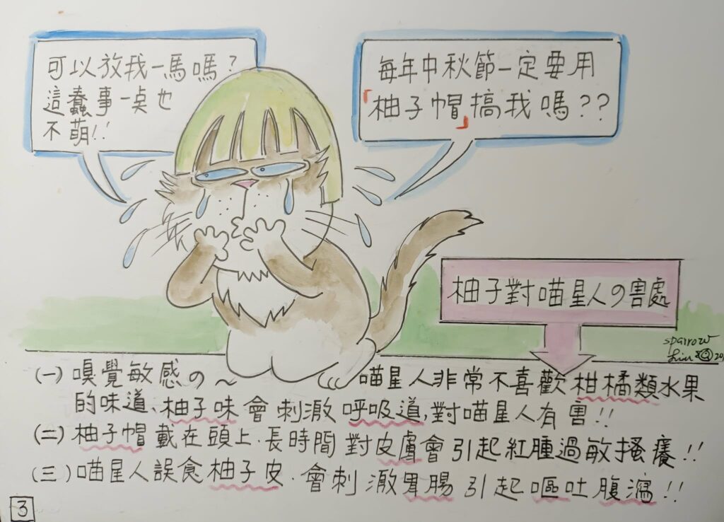 貓咪戴柚子帽子可能引發的臨床症狀