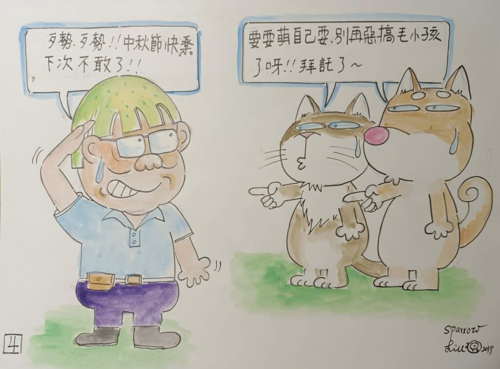 中秋節別再讓貓咪戴柚子帽！