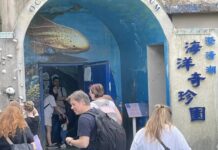 高雄秘境即將熄燈？高雄澄清湖「海洋奇珍園」30年歷史恐畫下句點