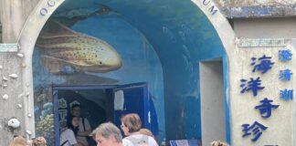高雄秘境即將熄燈？高雄澄清湖「海洋奇珍園」30年歷史恐畫下句點
