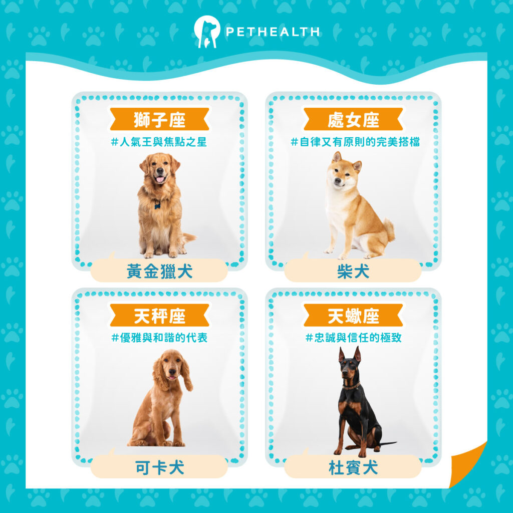 星座最適合飼養的狗狗品種