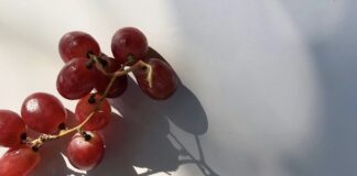 狗狗誤食葡萄恐致命！人類將尿酸藥物Probenecid有望成為狗狗救命解藥