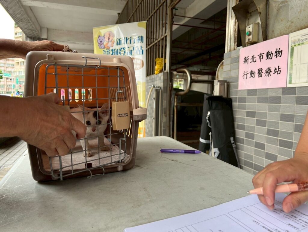 定期為貓咪接種疫苗,幫助貓咪產生免疫力,降低感染疾病的風險