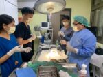 新北市動保處攜手大學獸醫系，提供暑期臨床實習，深耕動物醫療教育與福祉
