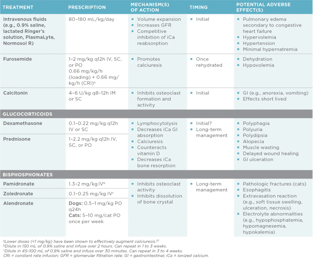 狗狗高血鈣治療選擇(資料來源:DiBartola & Autran de Morais(2019),A Practical Approach to Hypercalcemia, Today’s Veterinary Practice.)