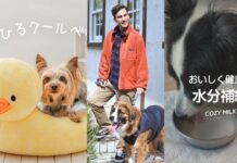 日本旅遊必逛寵物三大連鎖品牌，人氣商品一次掌握！