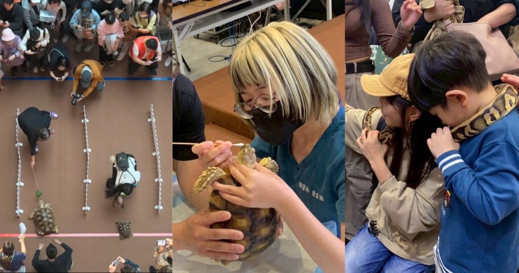 異寵熱潮席捲台南!兩棲爬蟲主題館互動講座首登場