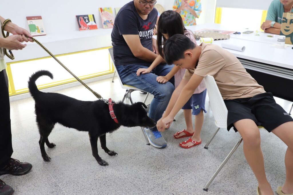 小朋友與待認養狗狗進行互動練習-溫柔伸手建立信任與連結（圖片來源：台中市動保處）