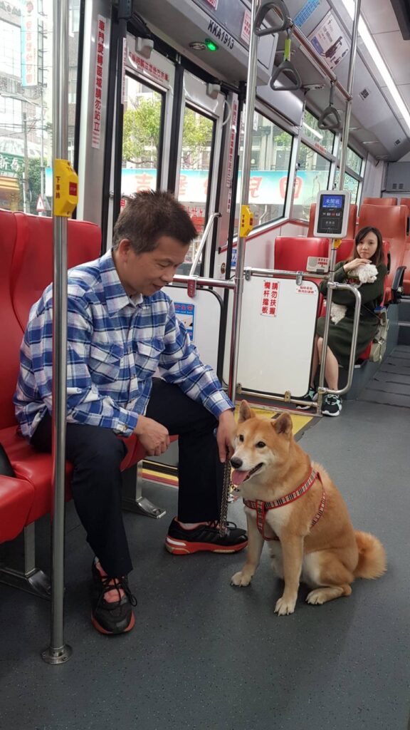 新北市寵物友善公車（圖片來源：新北市政府）