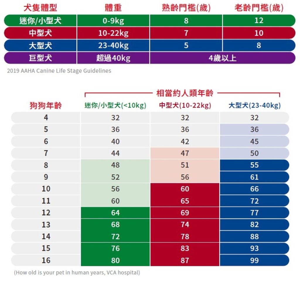 犬隻依體型大小老化速度差異極大，飼主可依毛孩生理年齡調整飲食、運動與健檢頻率，提早預防並延緩老化進程。