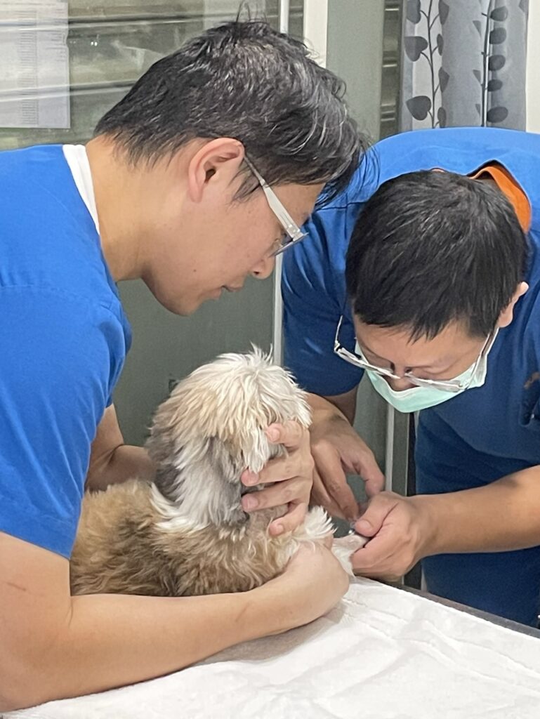 許傳忠獸醫師提醒：健檢習慣應自幼年建立，並隨生命階段調整內容，熟齡後更需依醫師建議增加頻率與項目。