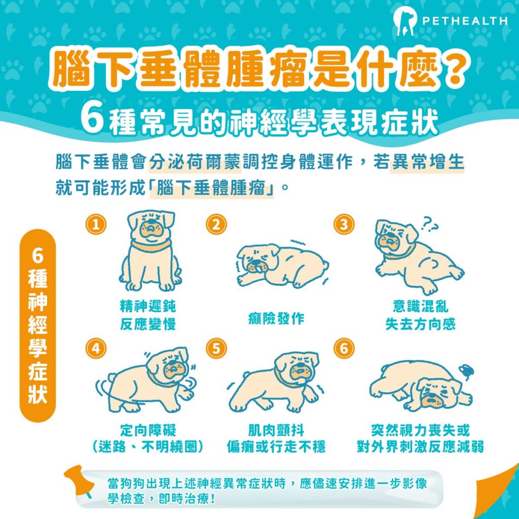 狗狗腦下垂體腫瘤是什麼?