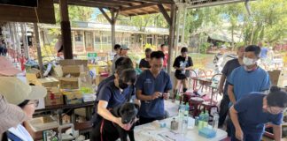 守護災區毛孩健康，花蓮縣府攜手民間團體啟動光復鄉犬貓義診照護計畫