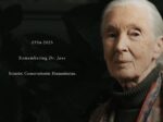 珍．古德博士享壽91歲辭世，留下改變人類與自然關係的永恆足跡